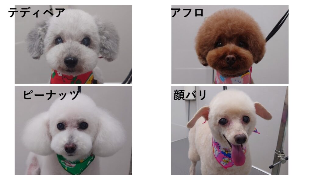 顔のカットの種類